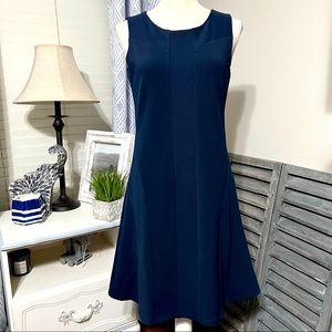 NWT Cremieux Size Small Fit n Flare Dress
